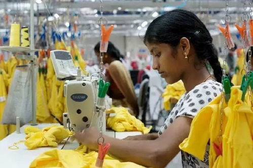 全球贸易格局 德国领衔净出口，美国主导净进口，初级农产品贸易格局浅析