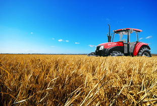 互联网赋能下农产品加工业与休闲农业融合发展研究报告——以初级农产品为视角