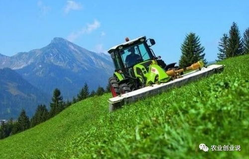 农村户口与初级农产品 被忽视的权益与时代变迁